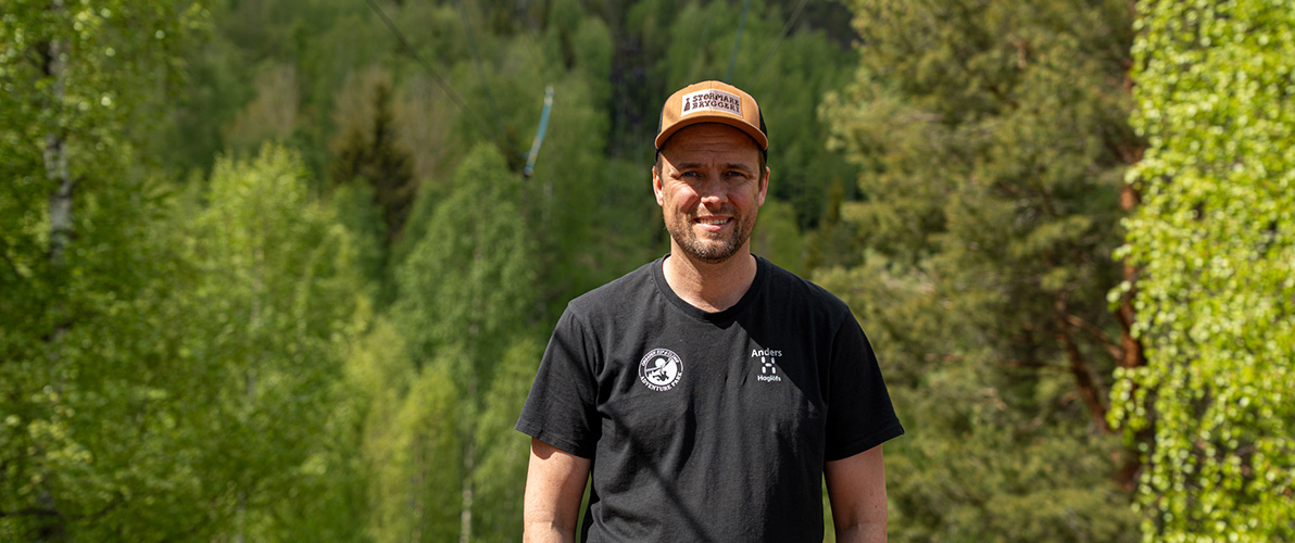 Anders Zippen Undersida